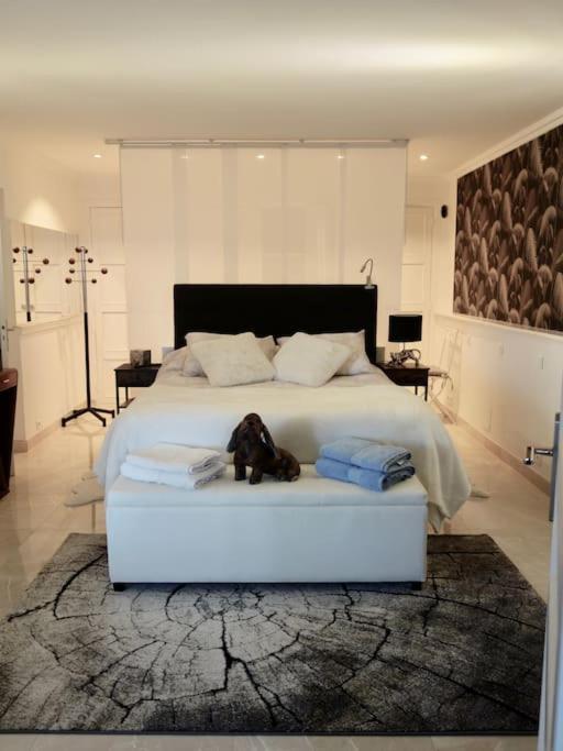 Elegant-cosy 2p55m2 Dans Bas De Provencale ! Apartment Villeneuve-Loubet