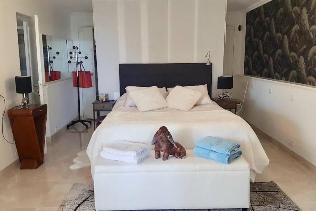 Elegant-cosy 2p55m2 Dans Bas De Provencale ! *